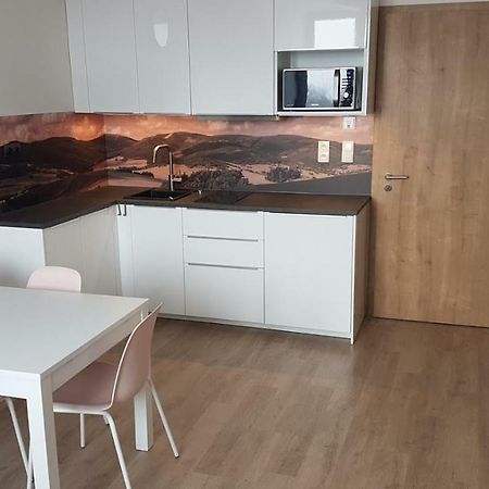 Apartmany Dolní Morava Exteriör bild